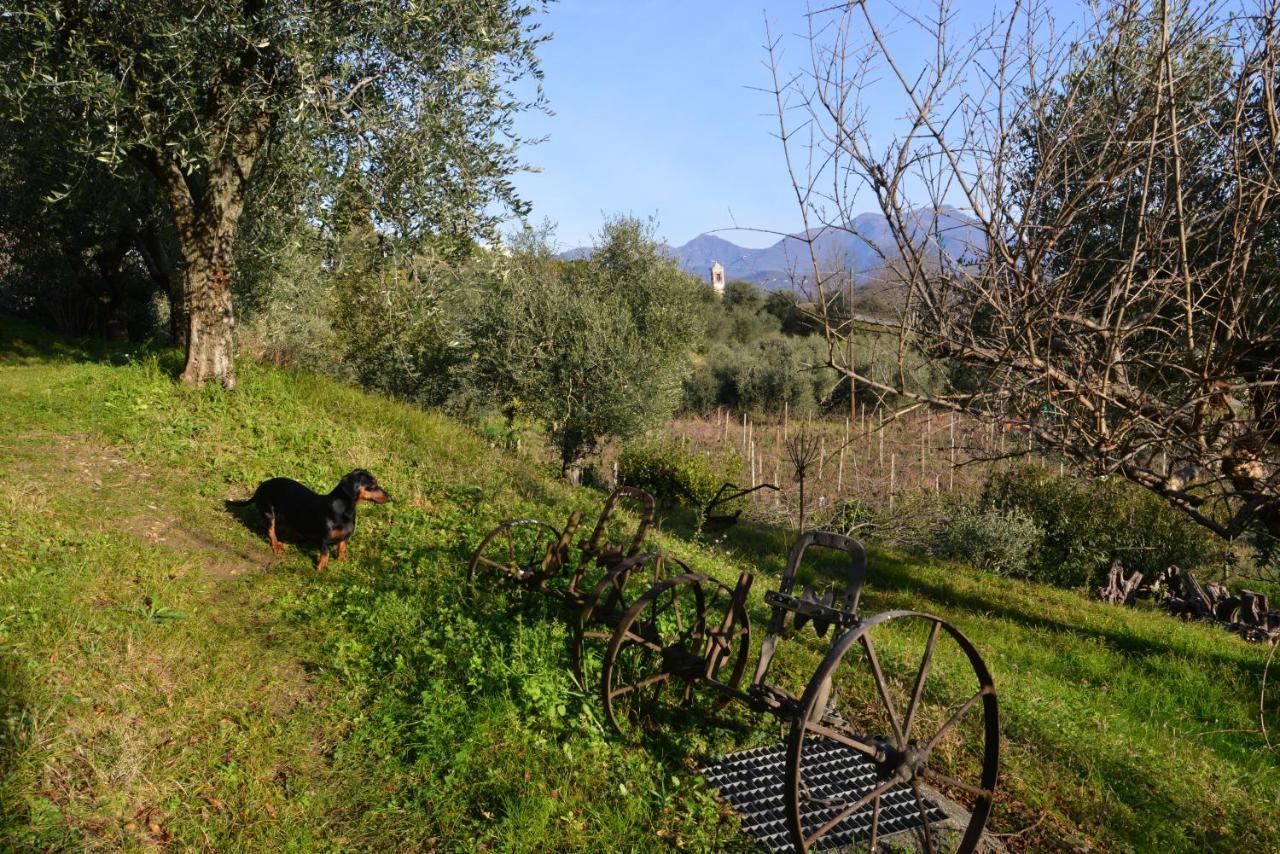 Antiche Mura Casa Vacanze Puegnago sul Garda Exterior foto