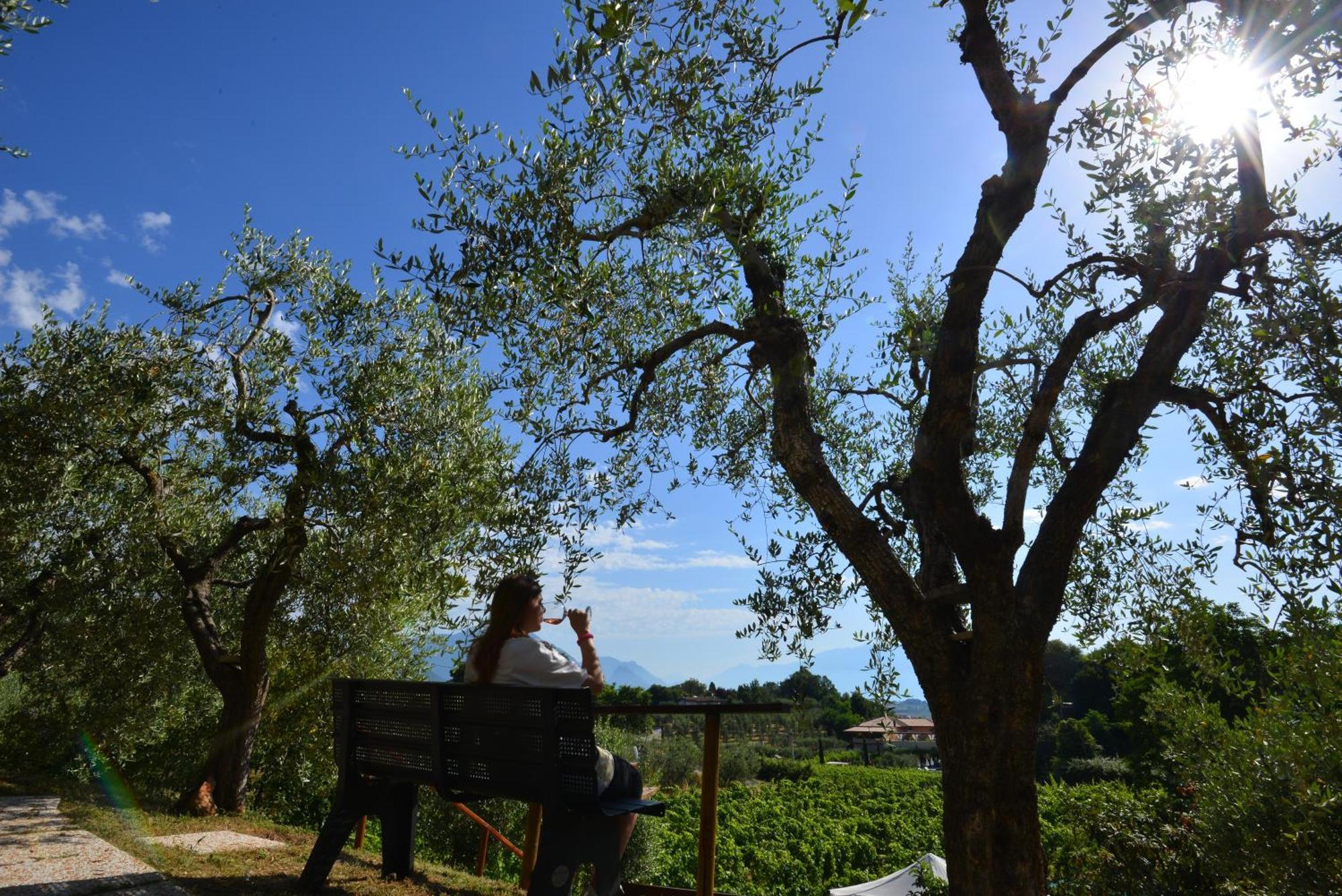 Antiche Mura Casa Vacanze Puegnago sul Garda Exterior foto