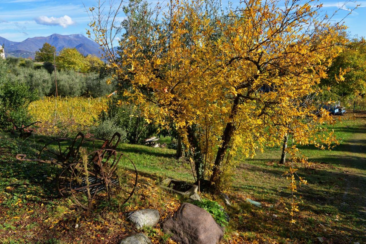 Antiche Mura Casa Vacanze Puegnago sul Garda Exterior foto